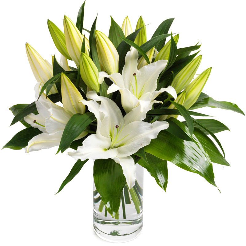 Bouquet de lys blanc – De Lys en Délices